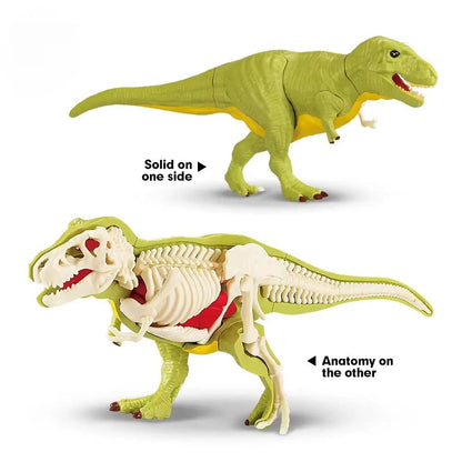 3D DIY Assembled Anatomy Dinosau Toys Children'S Assembly Animal Collectible Dinosaur Toy Anatomy Plastic Model Educational Kid