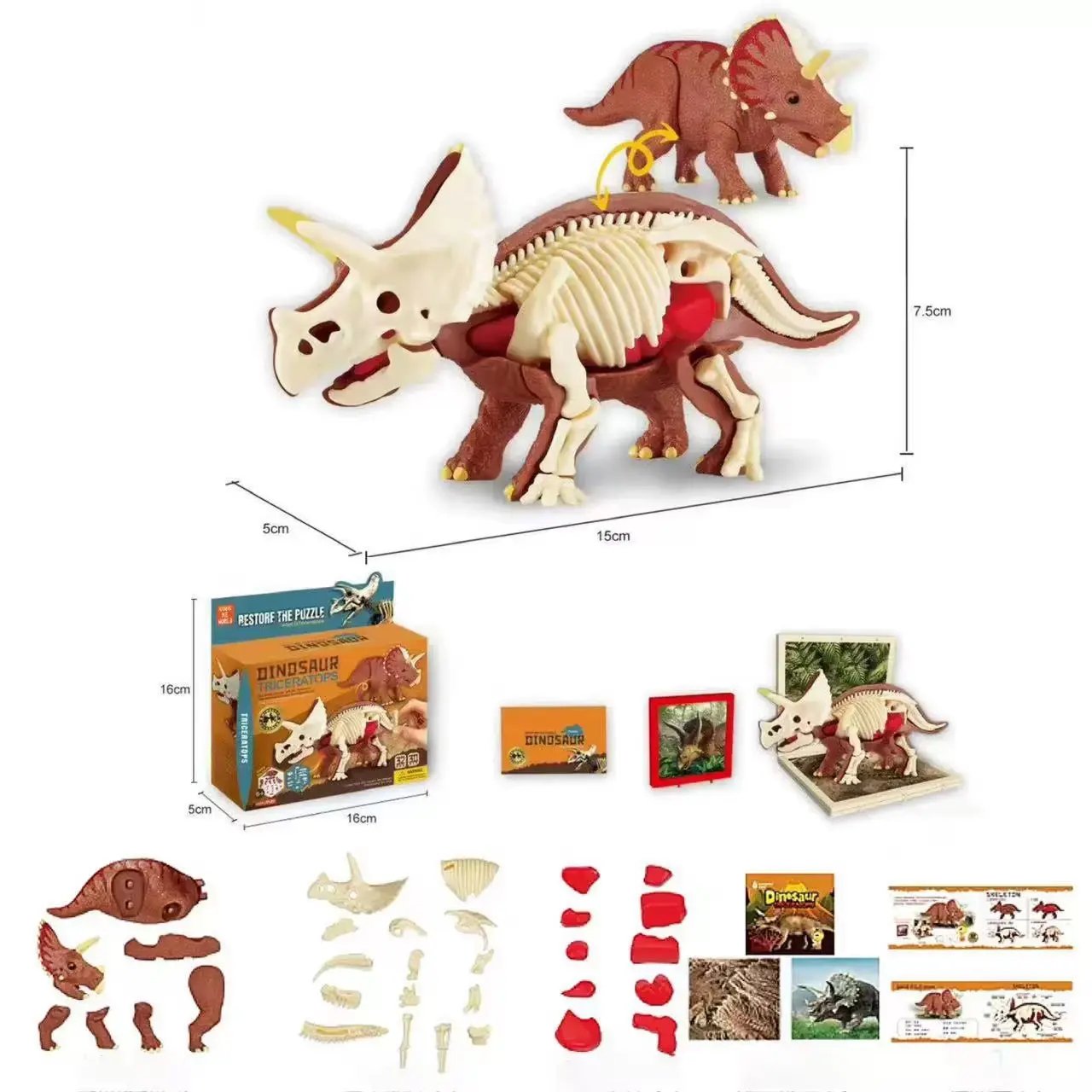 3D DIY Assembled Anatomy Dinosau Toys Children'S Assembly Animal Collectible Dinosaur Toy Anatomy Plastic Model Educational Kid