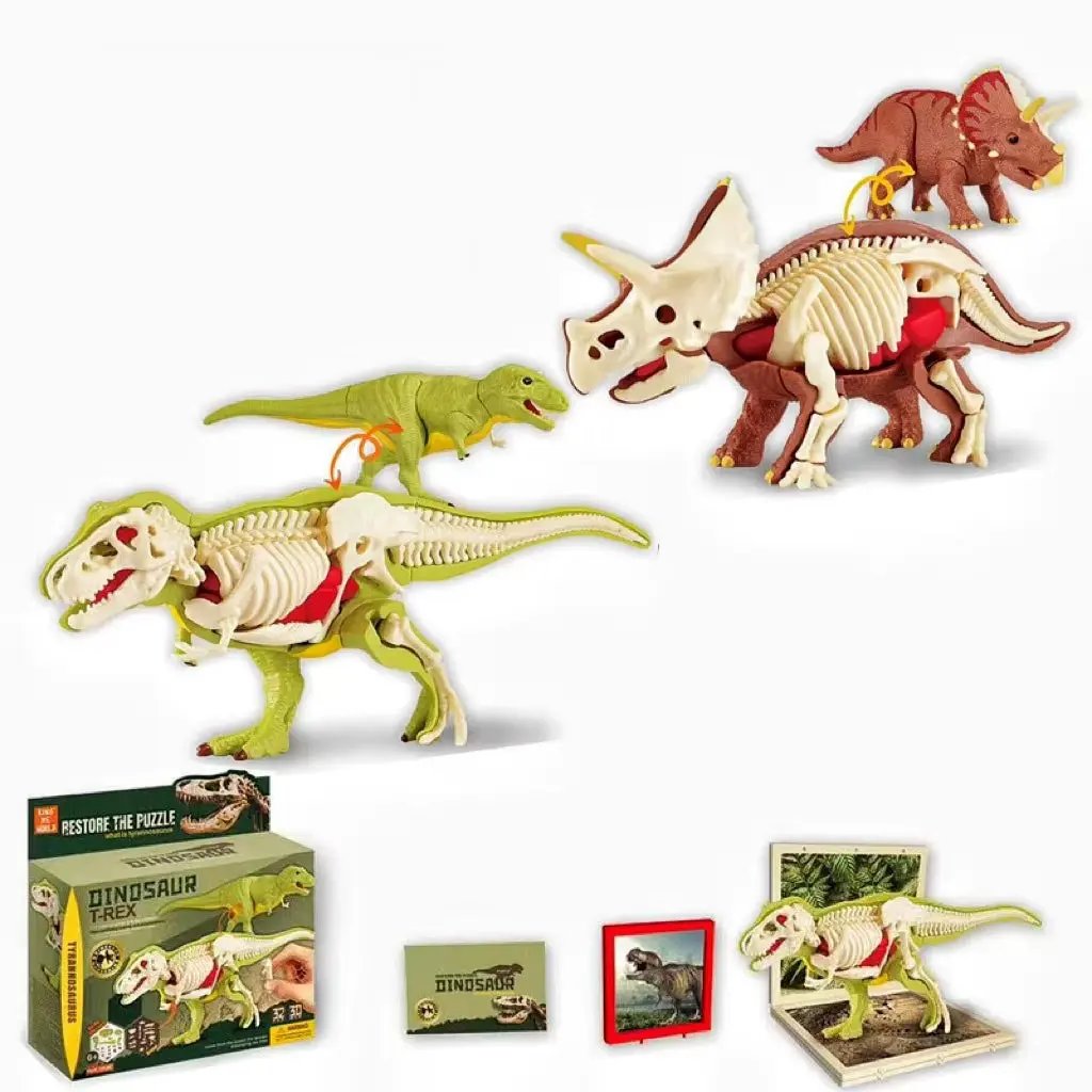 3D DIY Assembled Anatomy Dinosau Toys Children'S Assembly Animal Collectible Dinosaur Toy Anatomy Plastic Model Educational Kid