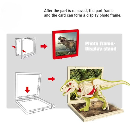 3D DIY Assembled Anatomy Dinosau Toys Children'S Assembly Animal Collectible Dinosaur Toy Anatomy Plastic Model Educational Kid